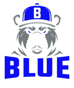 Logo Cardetailing Blue Rotterdam